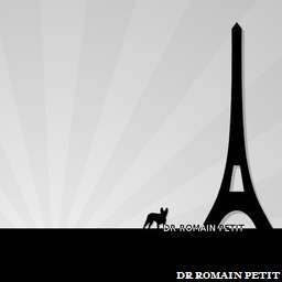 Illustration de la référence Néronne bouledogue français et Tour Eiffel 