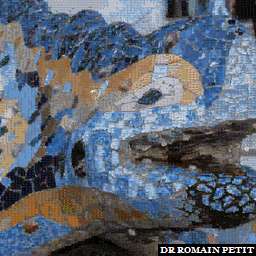 Illustration de la référence Photo-mosaïques 230420091851b - Lézard de Gaudi au Parc Güell 