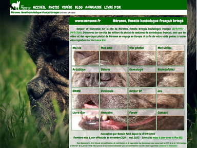 Accueil – mise en avant de Néronne et des bouledogues français et de toutes les rubriques du site