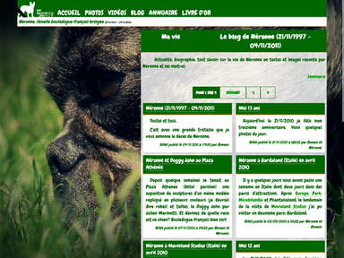 Ma vie – Le blog de Néronne avec des articles sur sa vie