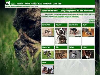 Contributions des visiteurs – photos partagées par la communauté