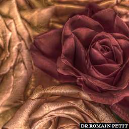 Illustration de la référence HDRI Maison - Bouquet de roses 4 