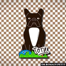 Illustration de la référence Avatar de TOTH, bouledogue français 