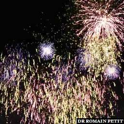 Illustration de la référence Feux d'artifices 
