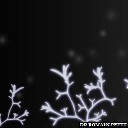 Illustration de la référence Clarins flourish 