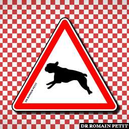 Illustration de la référence Attention passage de bouledogue français 