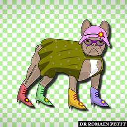 Illustration de la référence Avatar P'tite-mère Néronne, femelle bouledogue français bringée 