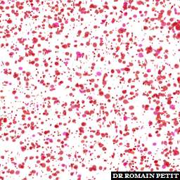 Illustration de la référence Pluie de confettis 