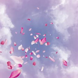 Illustration de la référence Viktor & Rolf reveal flacon 