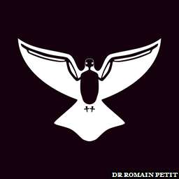 Illustration de la référence Poster N&B Colombe électrocutée 