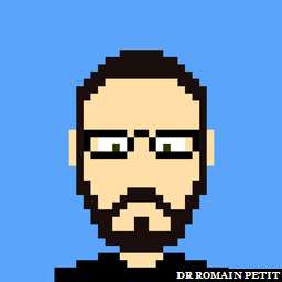 Illustration de la référence Avatar 8 bits de Romain Petit 