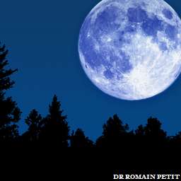 Illustration de la référence Lune au dessus d'une forêt 