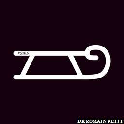 Illustration de la référence Poster N&B Luge 