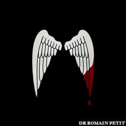 Illustration de la référence Poster ANGELS - Ailes d'ange 