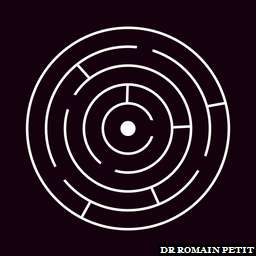 Illustration de la référence Poster N&B Labyrinthe circulaire 