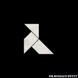 Illustration de la référence Poster ANGELS - Origami 