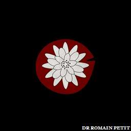 Illustration de la référence Poster ANGELS - Nénuphard 