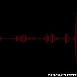 Illustration de la référence Studio Rek onde sonore 