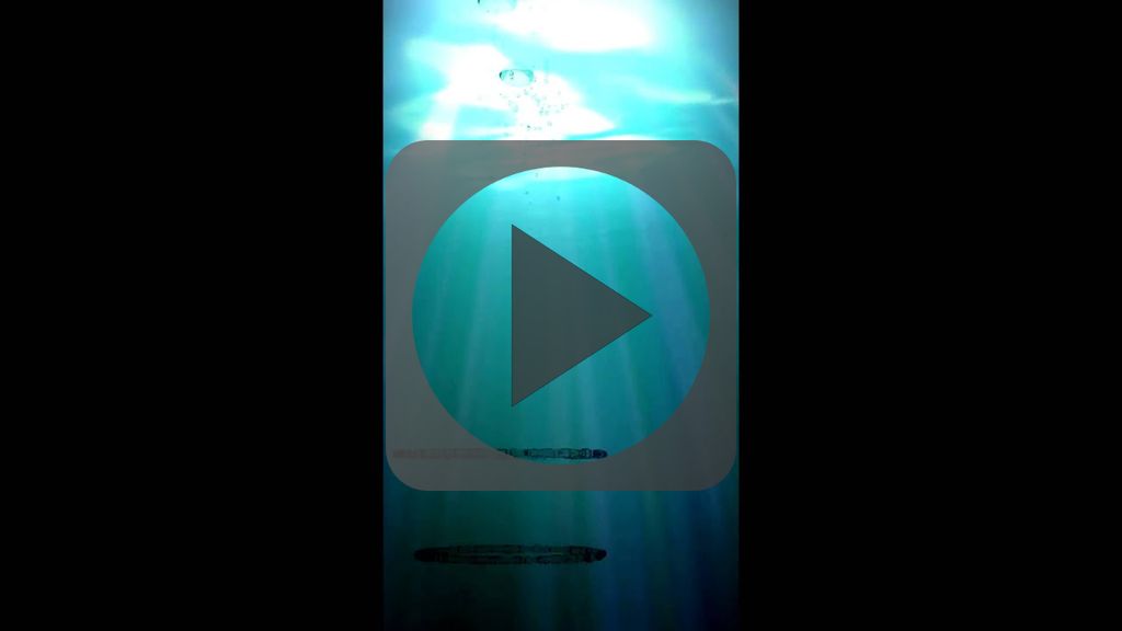 Animation