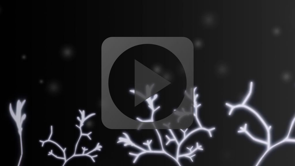 Animation