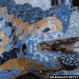Photo-mosaïques 230420091851b - Lézard de Gaudi au Parc Güell